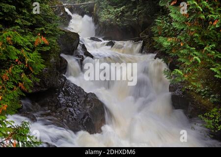 WA18715-00...WASHINGTON - Upper Deception Falls das Hotel liegt am Highway 2 im Mount Baker - Snoqualmie National Forest. Stockfoto