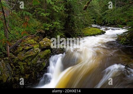 WA18722-00...WASHINGTON - Wasserfall am Bach in Deception Falls National Recreation Area liegt am Highway 2 in der Nähe von Stevens Pass. Stockfoto