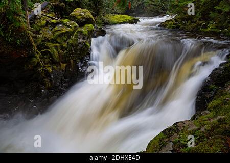 WA18724-00...WASHINGTON - EIN überfluteter, kaskadierter Bach in der Deception Falls National Recreation Area entlang des Highway 2. Stockfoto