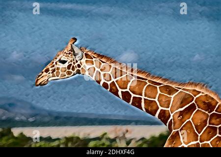 Afrika, Kenia, Netzgiraffe (WILD: Giraffa camelopardalis reticulata) Computer verbessert. Stockfoto