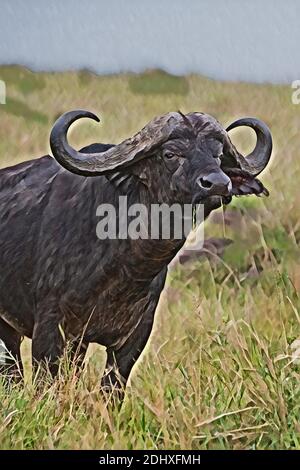 Afrika, Kenia, Serengeti, Maasai Mara. Einsames männliches afrikanisches Büffel alias Cape Büffel (WILD: Syncerus Caffer) Computer verbessert. Stockfoto