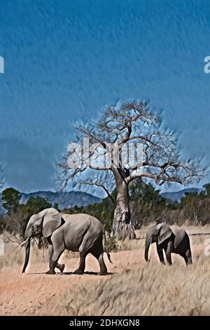Afrika, Sambia, South Luangwa National Park. Afrikanische Elefanten (WILD: Loxodonta africana) mit Baobab-Baum. Computer verbessert. Stockfoto