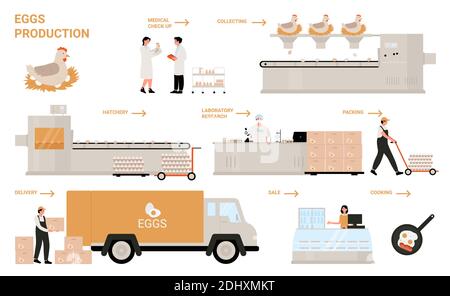 Ei Prozess Produktion in Huhn Geflügelfabrik Infografik Vektor Illustration. Cartoon Herstellung Verarbeitung Technologie der Herstellung von Ei-Produkte, automatisierte Linie der Lebensmittelindustrie auf weiß isoliert Stock Vektor