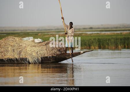 Ein junger Mann stöcke sein Holzboot auf dem Fluss Niger in der Nähe von Gao, Mali, Westafrika. Stockfoto