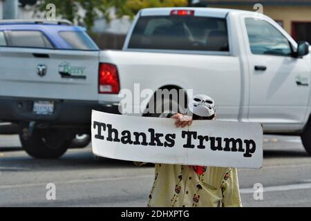 Mann mit Totenkopf Maske halten Sie ein Danksagung Trump Zeichen In Kalifornien während der Wahlen 2020 Saison und ist nicht glücklich Mit 45 Stockfoto