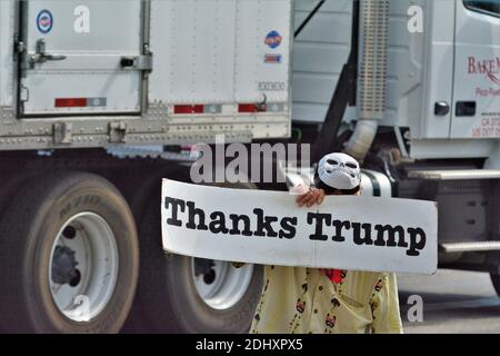 Mann mit Totenkopf Maske halten Sie ein Danksagung Trump Zeichen In Kalifornien während der Wahlen 2020 Saison und ist nicht glücklich Mit 45 Stockfoto