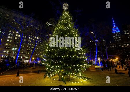 Der Weihnachtsbaum im Madison Square Park mit dem MetLife Building im Hintergrund. (Foto: Gordon Donovan) Stockfoto
