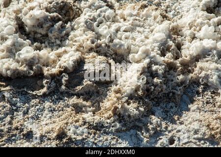 Nahaufnahme von Mineralvorkommen Geysir- und Geothermiegebiet El Tatio, hoch in den Anden, Atacama-Region, Nordchile, Südamerika Stockfoto