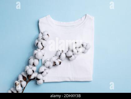 Weißes T-Shirt und Zweig mit Baumwollblüten trockene Blumen auf blauem Hintergrund, Konzept von natürlichen Stoffen, Nahaufnahme Foto Stockfoto