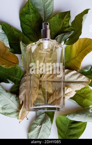 Glas Parfüm Flasche auf Haufen von trockenen Blättern aus einem Weitwinkelansicht Stockfoto