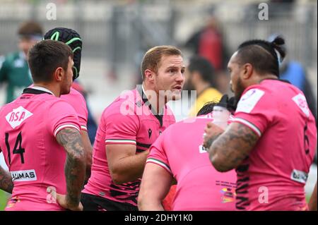 Parma, Italien. Dezember 2020. Parma, Italien, Lanfranchi Stadion, 12. Dezember 2020, Giulio Bisegni mit Teamkollegen während Zebre Rugby vs Bayonne - Rugby Challenge Cup Credit: Alessio Tarpini/LPS/ZUMA Wire/Alamy Live News Stockfoto