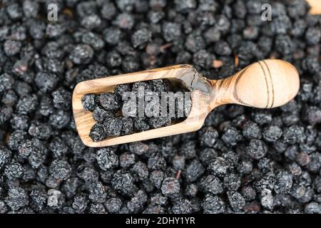 Getrocknete Schwarze Eberesche Aronia-Apfelbeere auf Olivenholz Stockfoto