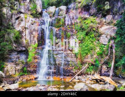 Landschaftlich schöner Wasserfall im Fluss Minnamurra, der aus erodierten Felsen im Zentrum des Regenwalds Minnamurra abfließt. Stockfoto