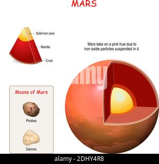 Innere Struktur des Mars. Querschnitt des Planeten vom Kern zum Mantel und zur Kruste. Deimos und Phobos - zwei Monde des Mars. Sonnensystem. Infografiken Stock Vektor