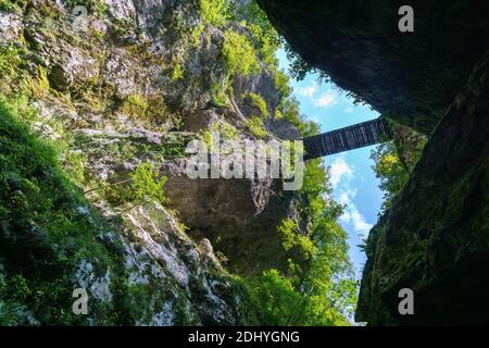 Blick auf eine Spalte mit Pflanzen und Brücke Stockfoto