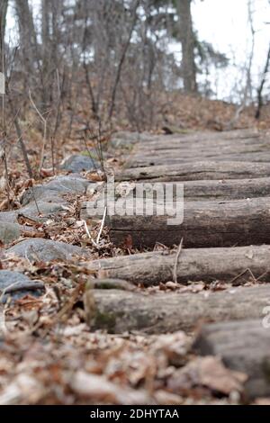 Rustikale Holztreppen in Stein eingefasst führen einen Wald hinauf Trail Stockfoto