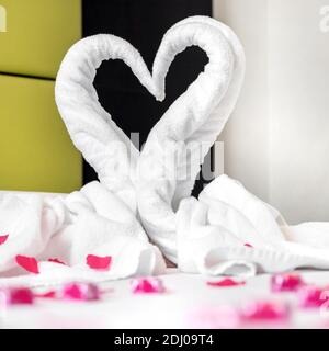 Handtuchschwäne auf dem Bett, mit rosa Blütenblättern bestreut. Ideal für Veranstaltungen und Konzepte, Valentinstag, Honigmond, romantisches Wochenende und mehr. Stockfoto