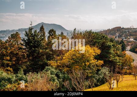 Herbstlandschaft des Jungang Parks (Daecheong Park) in Busan, Korea Stockfoto