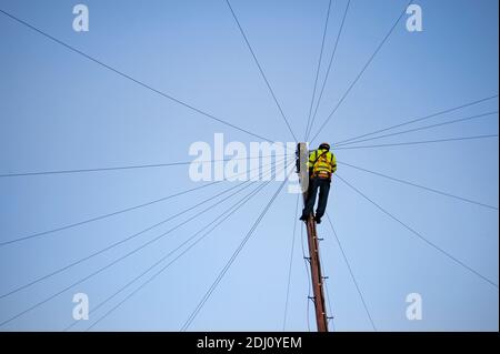 Telearbeiter von Openreach klettert einen hölzernen Telegrafenmast, um Wartungsarbeiten an Telefonleitungen in England durchzuführen. Stockfoto