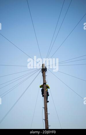 Telearbeiter von Openreach klettert einen hölzernen Telegrafenmast, um Wartungsarbeiten an Telefonleitungen in England durchzuführen. Stockfoto