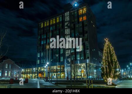 College-Gebäude in Bergen, Norwegen bei Nacht mit einem Weihnachtsbaum. Stockfoto