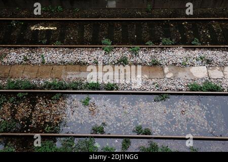 Ein Blick auf den Überlauf der seine, wie es weiter steigt, bis 6 Meter hoch. Gedreht in Paris, Frankreich am 3. Juni 2016. Foto von Aurore Marechal/ABACAPRESS.COM Stockfoto