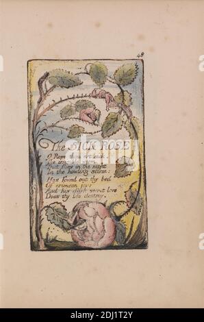 Songs of Innocence and of Experience, Platte 48, 'The Sick Rose' (Bentley 39), Druck von William Blake, 1757–1827, britisch, 1789 bis 1794, Relief-Radierung in Dunkelbraun mit Feder und schwarzer Tinte und Aquarell auf mäßig dickem, leicht strukturiertem, cremefarbenen Wove-Papier, Blatt: 7 1/8 x 5 Zoll (18.1 x 12.7 cm), Platte: 4 3/8 x 2 3/4 Zoll (11.1 x 7 cm), und Wirbelsäule: 7 3/8 Zoll (18.7 cm), Busch, Blumen (Pflanzen), historisches Thema, literarisches Thema, Rose (Pflanze), Text, Dornen, Reben, Frauen Stockfoto