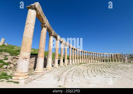 Ovale Plaza ionische Säulen in Jerash, Jordanien. Kolonnade des Jerash Old City Oval Square. Stockfoto