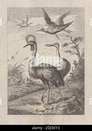 Zwei Kraniche und vier andere Vögel, ein Pl. zu 'A New Drawing Book...of Various Artends of Birds, Drawn from Life by Mr. Francis Barlow' 1731 (1 von 9), Druck von George Bickham, 1683/4–1758, britisch, nach Francis Barlow, ca. 1626–1704, britisch, Herausgegeben von Henry Overton, 1675/6–1751, britisch, 1731, Radierung auf mittlerem, glattem, cremefarbenem Papier, Blatt: 11 5/16 x 7 5/16 Zoll (28.7 x 18.6 cm), Platte: 8 5/16 x 6 1/4 Zoll (21.1 x 15.9 cm), und Bild: 7 1/8 x 5 1/8 Zoll (18.1 x 13 cm), Tierkunst, Vögel, Äste, Wolken, Kraniche (Vögel), Haubenkränen (Vögel), Enten, Fliegen, Hügel Stockfoto