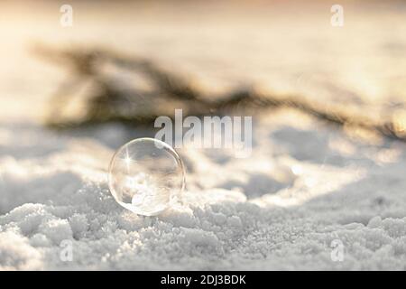 Gefrorene Blase mit Eiskristallen auf Schnee mit Tannenzweig bei Sonnenuntergang. Weihnachten Hintergrund. Stockfoto