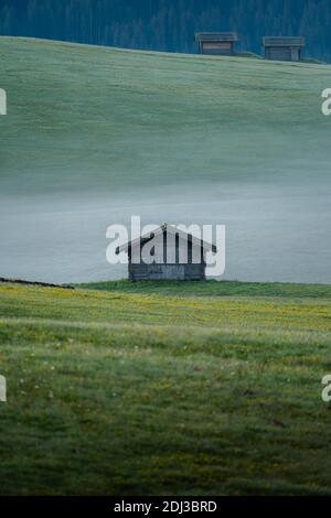 Einzelhütte auf nebliger Wiese, Seiser Alm, Südtirol, Italien Stockfoto