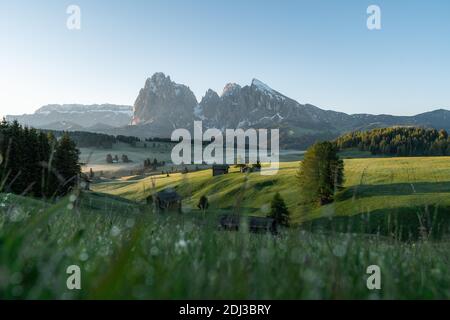 Heuscheune und Hütten auf nebligen Wiesen, hinter Langkofel und Plattkofel, Seiser Alm, Südtirol, Italien Stockfoto