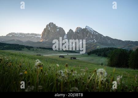 Heuscheune und Hütten auf nebligen Wiesen, hinter Langkofel und Plattkofel, Seiser Alm, Südtirol, Italien Stockfoto