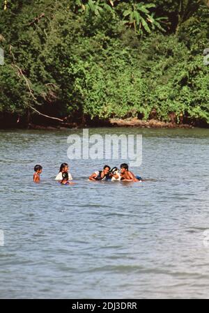 1990er Trinidad und Tobago - Einheimische Kinder, sowohl in der Karibik als auch in Ostinder, fahren mit ihren Hunden im Wasser (Tobago, 1996) Stockfoto