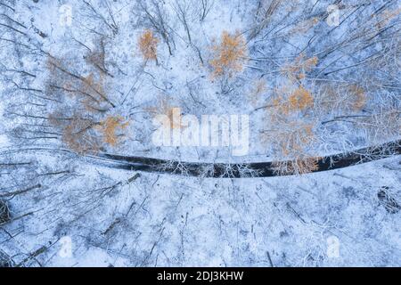 Luftaufnahme von Bäumen mit orangefarbenen Blättern und einer Straße Im Winter Landschaft Stockfoto
