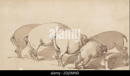 Schweine an einem Trog, Thomas Rowlandson, 1756–1827, britisch, ca. 1790, Stift, in brauner Tinte, mit brauner Wäsche, über Graphit auf Medium, leicht strukturiert, gebläute weiße, gedeckte Papier, montiert auf mäßig dicke, leicht strukturiert, creme, gedeckte Papier, Blatt: 3 9/16 x 6 1/4 Zoll (9 x 15.9 cm), Tierkunst, Schweine, Trog Stockfoto