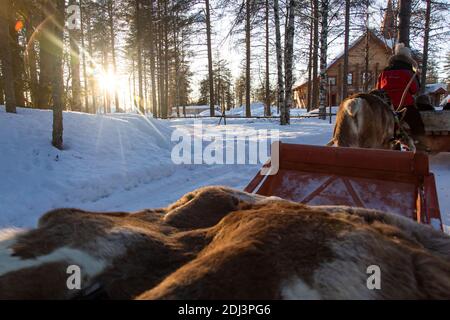 Rovaniemi, Lappland, Finnland - 29. Februar 2020: Rentierschlittenfahrt im Weihnachtsmanndorf in Rovaniemi Stockfoto