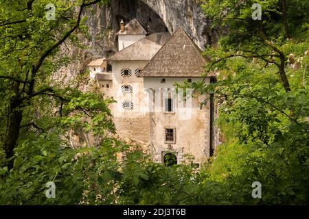 Blick vom Wald auf das einzigartige und berühmte Schloss Predjama in Slowenien. Das Renaissanceschloss wurde innerhalb einer Höhlenmündung errichtet, um besten Schutz zu bieten Stockfoto