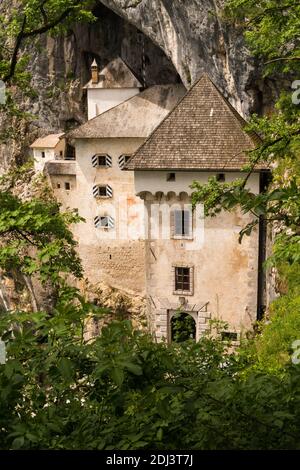 Blick vom Wald auf das einzigartige und berühmte Schloss Predjama in Slowenien. Das Renaissanceschloss wurde innerhalb einer Höhlenmündung errichtet, um besten Schutz zu bieten Stockfoto