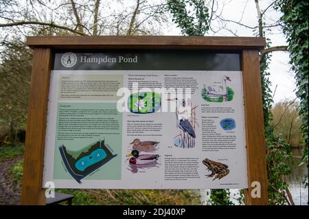 Wendover, Buckinghamshire, Großbritannien. Dezember 2020. Hampden Pond. Einheimische und Familien aus Wendover nahmen heute an einem gesellschaftlich distanzierten Spaziergang von Wendover entlang des Ridgeway zum Jones Hill Wood Teil, um das Wasser und die Wälder von Wendover zu feiern. Das HS2 High Speed Rail Projekt zerstört Teile der Chilterns AONB. HS2 hat zwangsweise einen Teil des nahegelegenen Jones Hill Wood gekauft und plant, weitere uralte Waldgebiete dort als Teil der umstrittenen Hochgeschwindigkeitsstrecke von London nach Birmingham zu zerstören. HS2 gefährdet 693 Wildtiergebiete. Quelle: Maureen McLean/Alamy Stockfoto