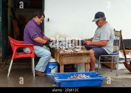 Menschen verarbeiten Fisch, Sao Mateus de Calheta aus, Terceira, Azoren, Portugal Stockfoto