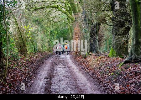 Wendover, Buckinghamshire, Großbritannien. Dezember 2020. Der Ridgeway. Einheimische und Familien aus Wendover nahmen heute an einem gesellschaftlich distanzierten Spaziergang von Wendover entlang des Ridgeway zum Jones Hill Wood Teil, um das Wasser und die Wälder von Wendover zu feiern. Das HS2 High Speed Rail Projekt zerstört Teile der Chilterns AONB. HS2 hat zwangsweise einen Teil des nahegelegenen Jones Hill Wood gekauft und plant, weitere uralte Waldgebiete dort als Teil der umstrittenen Hochgeschwindigkeitsstrecke von London nach Birmingham zu zerstören. HS2 gefährdet 108 uralte Waldgebiete. Quelle: Maureen McLean/Alamy Stockfoto