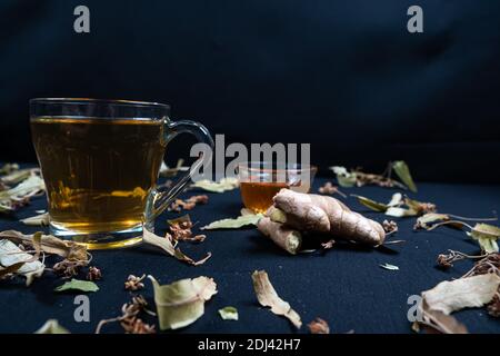 Französische Presse und Kräutertee, auf schwarzem Hintergrund zwischen trockenen Blättern Stockfoto