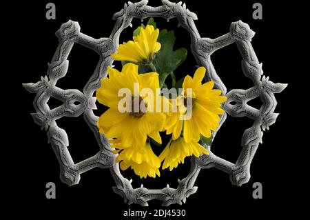 Abstrakte Tapete mit Blumen, voller Farben, seltsame Ornamente und Formen, Hintergrund mit schönen geometrischen Mustern, schwarzer Hintergrund, 3D-Illustration Stockfoto