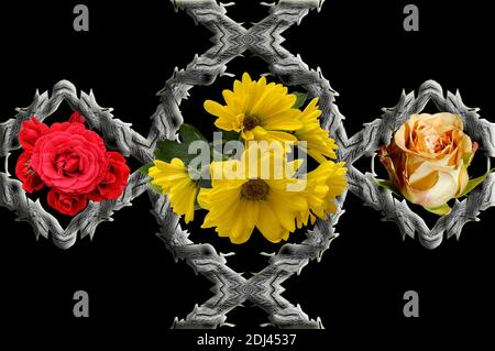 Abstrakte Tapete mit Blumen, voller Farben, seltsame Ornamente und Formen, Hintergrund mit schönen geometrischen Mustern, schwarzer Hintergrund, 3D-Illustration Stockfoto