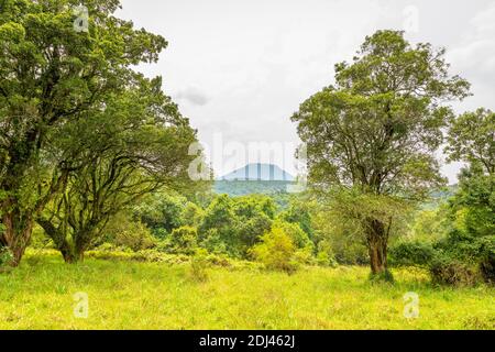 Virunga Volcanoes und Mgahinga Gorilla National Park von Kisoro in bunten frühen Morgen. Kisoro District, Uganda, Afrika. Stockfoto