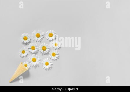 Bouquet Kamille Blumen in Waffel Eis Kegel auf grauem Hintergrund. Trendige Farben 2021. Platz kopieren Flat Lay Draufsicht Konzept Hallo Sommer. Stockfoto