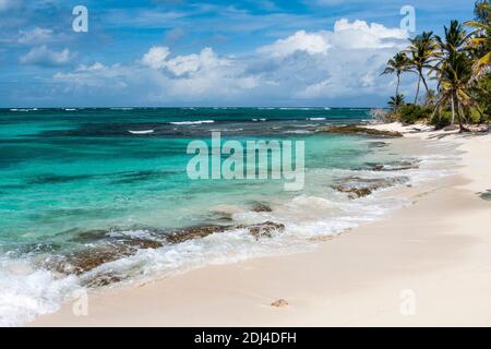 Sanfte Wellen brechen über Felsen an einem karibischen weißen Sandstrand mit Palmen, blauem Himmel und Meerblick: Palm Island, Saint Vincent & die Grenadinen. Stockfoto