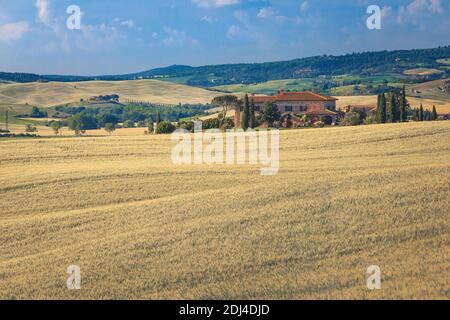 Fantastischer Sommer Toskana Landschaft mit typischen ländlichen Haus in den Getreidefeldern, Italien, Europa Stockfoto