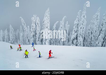 Fabelhafte schneebedeckte Bäume und nebligen Winter Ski-Resort. Aktive Kinder Skifahrer Skifahren in berühmten Poiana Brasov Skigebiet, Siebenbürgen, Rumänien, Stockfoto